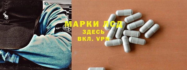 спиды Аркадак
