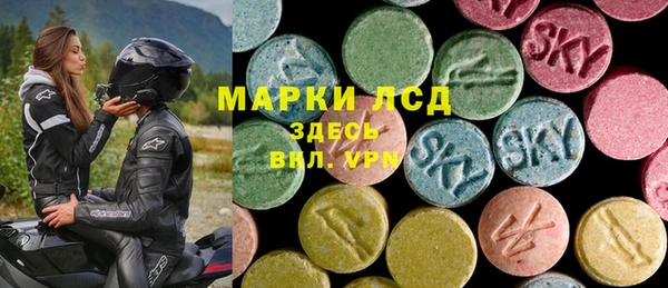 спиды Аркадак