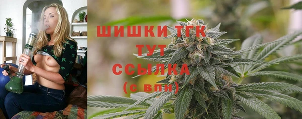 эйфоретик Арсеньев
