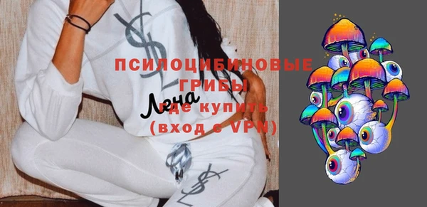 спиды Аркадак