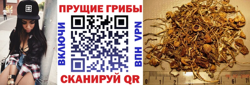 Галлюциногенные грибы Cubensis  дарк нет официальный сайт  Макарьев  где найти  
